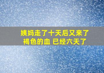 姨妈走了十天后又来了褐色的血 已经六天了